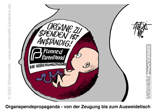 Organspende; Organe; Organentnahme; Foetus; Embryo; ungeboren; Abtreibung; abortion; Perversion; Grausamkeit; Profitgier; Kommerz; Kommerzialisierung; Verderbtheit; Dekadenz; Organverwertung; Ausschlachtung; Horror; Industrie; Verwertung; Geschaeftemacherei; fetal organ harvesting; foetale Organernte; Gewebegesetz; 2007; Transplantation; Arzneimitteltest; Kosmetikatest; Kollagengewinnung; bioregenerativ; Praeparate; Impfstoffherstellung; Impfstoffindustrie; Wiedenroth; Karikatur; cartoon; Germany; Allemagne