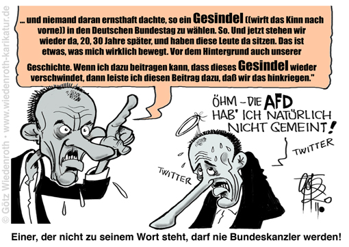 Demokratie; Sprache; Kultur; Verfall. Beschimpfung; Hetze; Usancen; Anstand; Hassrede; Gesindel; Friedrich; Merz; Rede; CDU, Ballhaus; Berlin; Februar; 2020; AfD; Republikaner; Bundestag; Polemik; Karikatur; 2020, cartoon, caricature