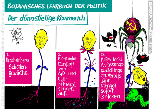 Thueringen; Ministerpraesident; Wahl; Kemmerich; FDP; Merkel; rueckgaengig; unverzeihlich; AfD; Stimmen; Lindner; Terror; Antifa; Verfassungsbruch; Staatsstreich; Thueringenschlag; Karikatur; 2020; cartoon; Germany; Allemagne